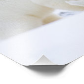 Impression Photo États-Unis, Alaska, 1002 Plaine côtière de l'Arcti (Coin)