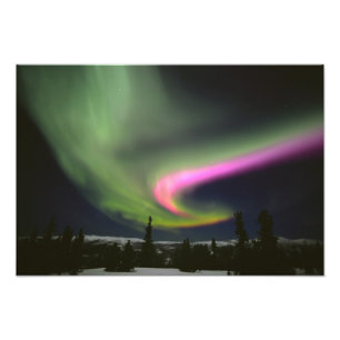 Impression Photo États-Unis, Alaska, Chena Hot Springs. Aurora 2