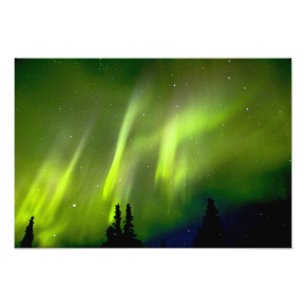 Impression Photo États-Unis, Alaska, Chena Hot Springs. Aurore 3