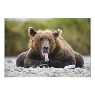 Impression Photo États-Unis, Alaska, Parc national de Katmai, baie