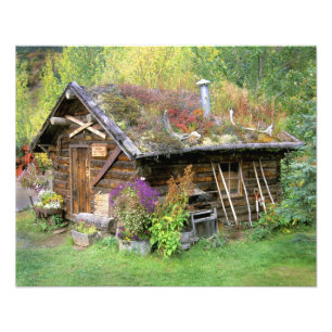 Impression Photo États-Unis, Alaska, Parc national Denali, Kantishn