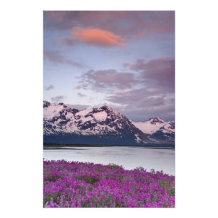 Impression Photo États-Unis, Alaska, vallée de la rivière Alsek. Vu