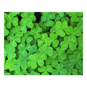 Impression Photo États-Unis, Californie, Jedediah Smith Rewood SP.