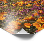 Impression Photo États-Unis, Californie, Monts Tehachapi, 2 (Coin)