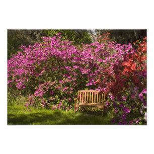 Impression Photo États-Unis ; Caroline du Sud ; Charleston ;