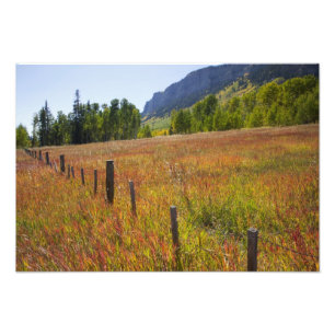 Impression Photo États-Unis, Colorado, Forêt nationale de San Juan,