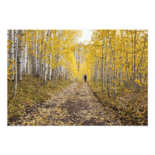 Impression Photo États-Unis, Colorado, Gunnison National Forest prè