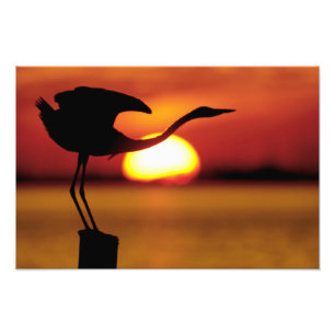 Impression Photo États-Unis, Floride, Saint-Pétersbourg, Fort De So