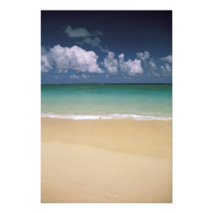 Impression Photo États-Unis, Hawaï. Scène de plage