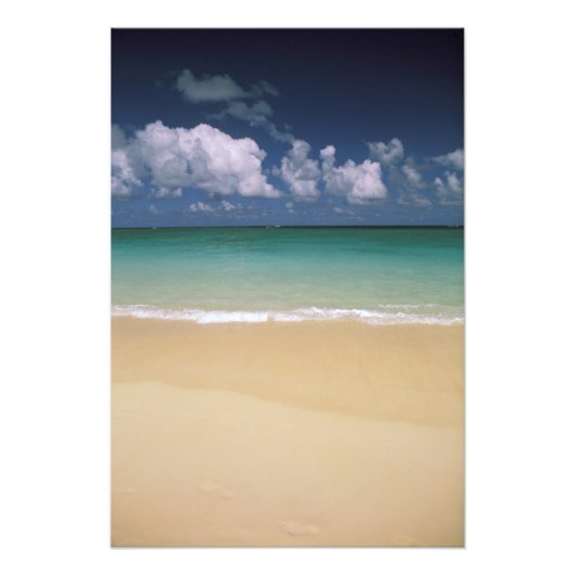 Impression Photo États-Unis, Hawaï. Scène de plage (Devant)