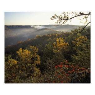 Impression Photo États-Unis, Kentucky. Forêt nationale Daniel Boone
