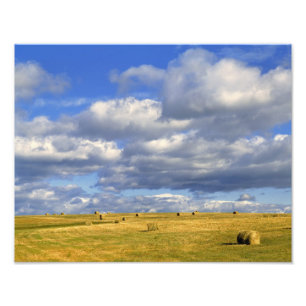 Impression Photo États-Unis, Nebraska, comté de Morrill. Foin doré