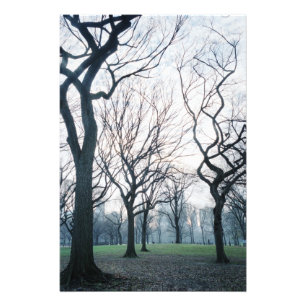 Impression Photo États-Unis, New York, New York City : Central Park