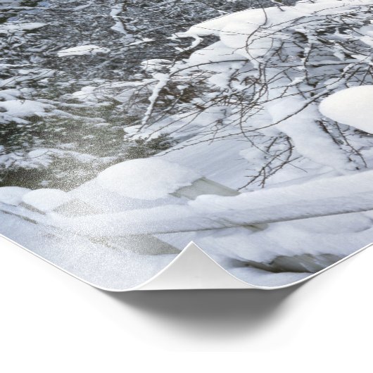 Impression Photo États-Unis, Oregon, comté de Clackamas. Neige fraî (Coin)