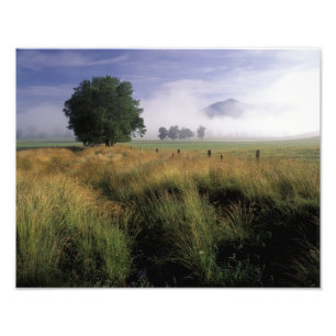 Impression Photo États-Unis, Tennessee, Grandes montagnes fumées