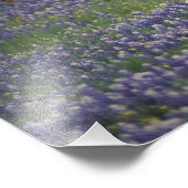 Impression Photo États-Unis, Texas, Texas Hill Country, Hereford (Coin)