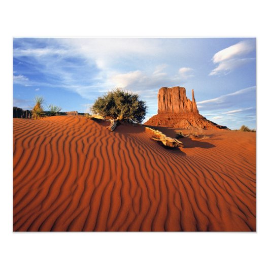 Impression Photo États-Unis, Utah, Monument Valley. Le vent crée (Devant)