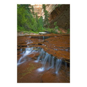Impression Photo États-Unis, Utah, Parc national de Zion. Scénique