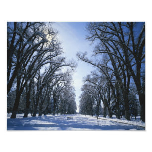 Impression Photo États-Unis, Utah, Salt Lake City, Liberty Park,