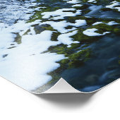 Impression Photo États-Unis, Utah, Wasatch-Catch National Forest, (Coin)