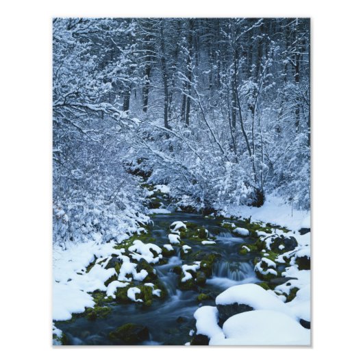 Impression Photo États-Unis, Utah, Wasatch-Catch National Forest, (Devant)