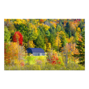 Impression Photo États-Unis, Vermont. Feuillage d'automne le long d