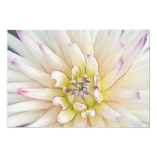 Impression Photo États-Unis, Washington, Bellevue, Bellevue Botani