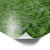 Impression Photo États-Unis, Washington, Parc national olympique, (Coin)