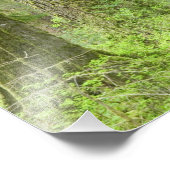 Impression Photo États-Unis, Washington, Parc national olympique, p (Coin)