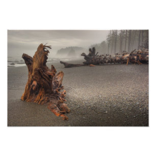 Impression Photo États-Unis, Washington, Parc national Olympique, R