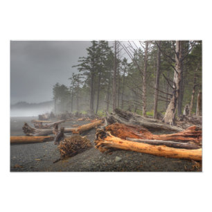 Impression Photo États-Unis, Washington, Parc national Olympique, R