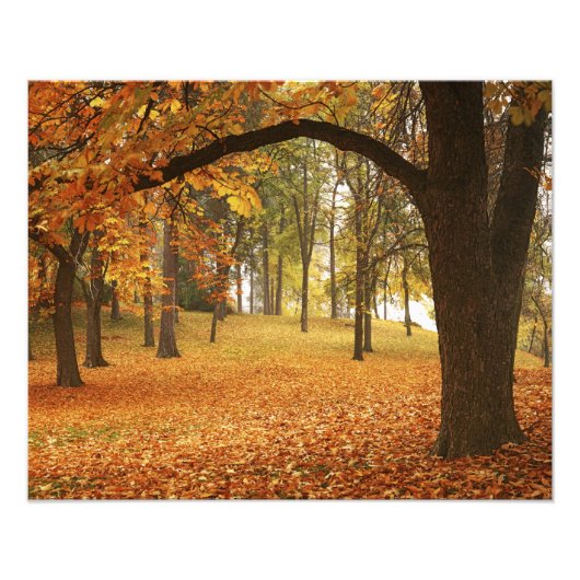 Impression Photo États-Unis, Washington, Spokane, Manito Park, Auto (Devant)