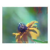 Impression Photo Été (Devant)