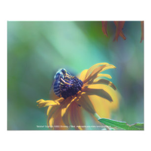 Impression Photo Été