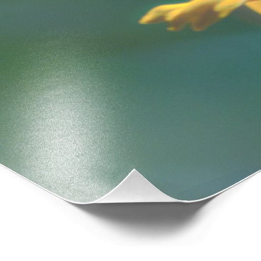 Impression Photo Été (Coin)