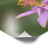 Impression Photo Étoile (Coin)