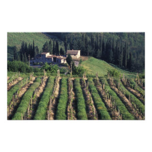 Impression Photo Europe, Italie, Toscane. Villa panoramique chypre.