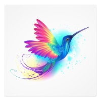 Exotic Rainbow Hummingbird