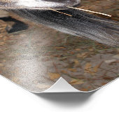 Impression Photo Extrême près d'une chèvre Billy mangeant du foin (Coin)