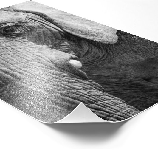 Impression Photo Eye Spy (Coin)