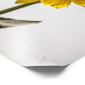 Impression Photo Face au soleil (Coin)