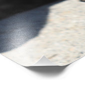 Impression Photo Face d'écureuil (Coin)