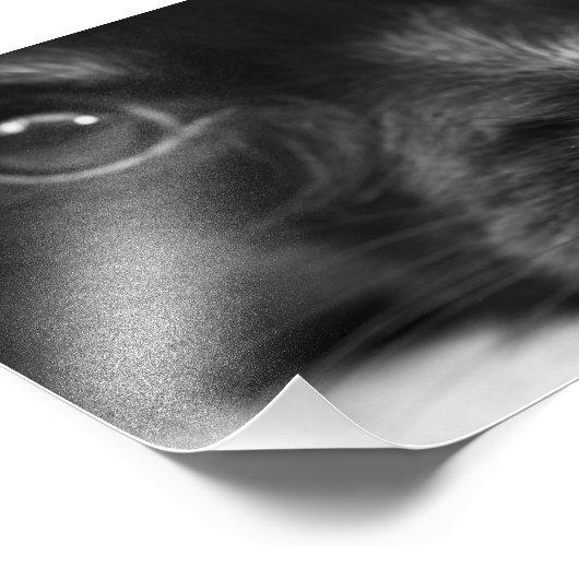 Impression Photo face papillon (Coin)