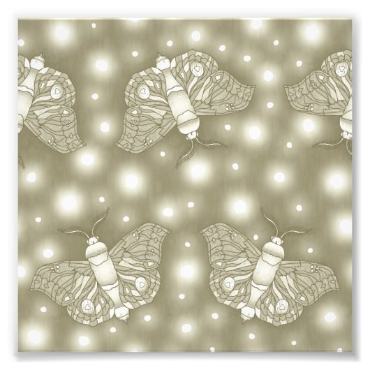 Impression Photo Fairy Moths (Devant)