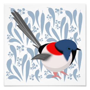 Impression Photo Fairy Wren