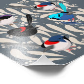 Impression Photo Fairy Wrens (Coin)