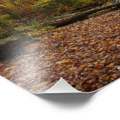 Impression Photo Fall Creek à Laurel Hill State Park Pennsylvania (Coin)