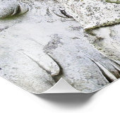 Impression Photo Falln Garden Angel (Coin)