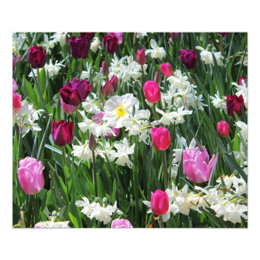 Impression Photo Falln Romantique Printemps matin (Devant)