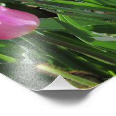 Impression Photo Falln Romantique Printemps matin (Coin)